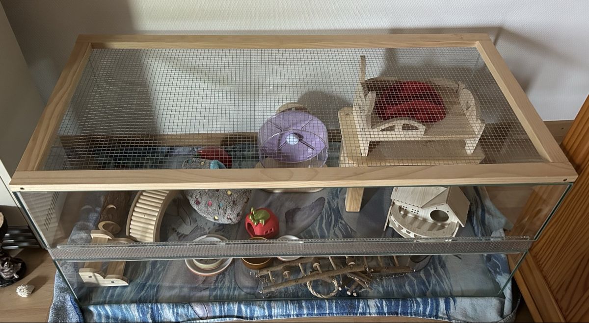 Terrario: Nagerheim / Terrarium – Usato da Tägerwilen venduto da Marakso 1
