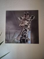 Glas Bild Giraffe 50x50cm