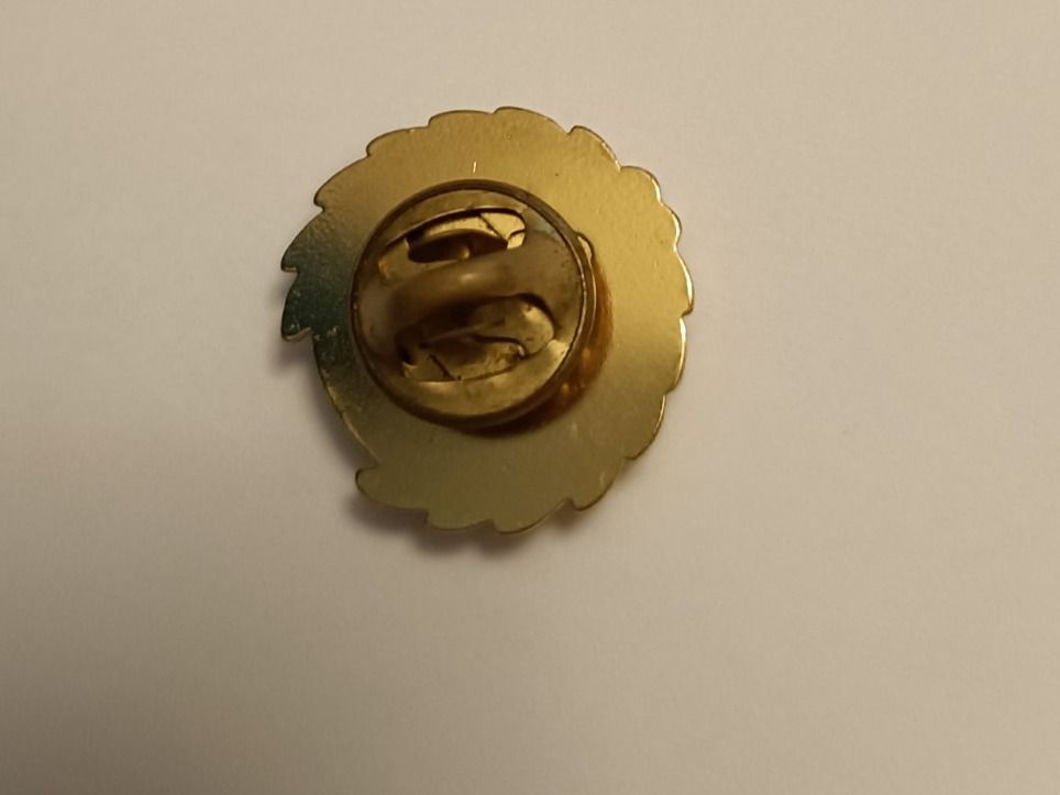 Placchette & Badge: Pin Krimmler Wasserfälle - Box 31 – Usato da Köniz venduto da Pinscollect 2