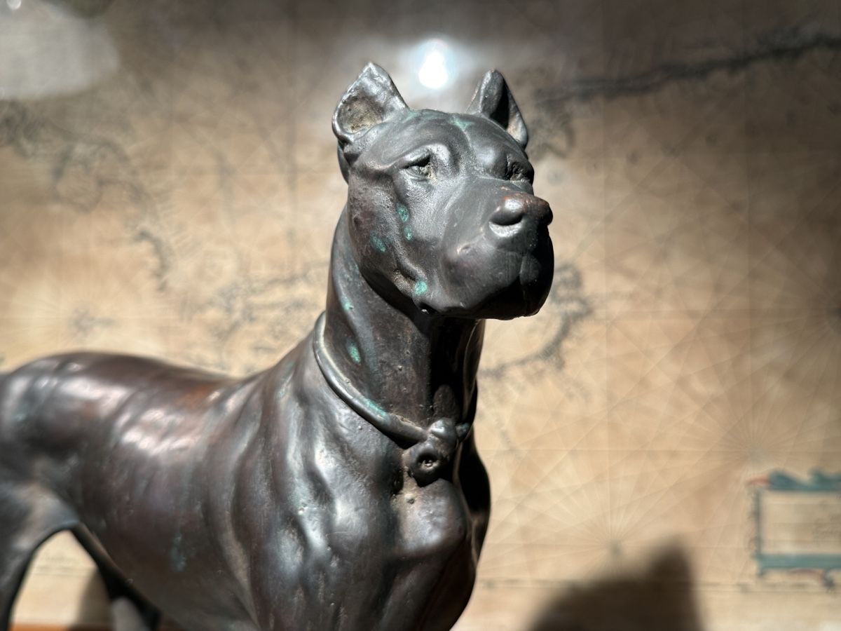 Sculture & Statue: Antike Hunde Skulptur – Usato da schaffhausen venduto da VintAntik_1980 4