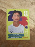 Panini NZL 18