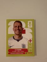 Panini 2026 Dan Burn ENG8
