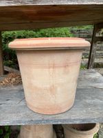Pflanztopf aus Terracotta