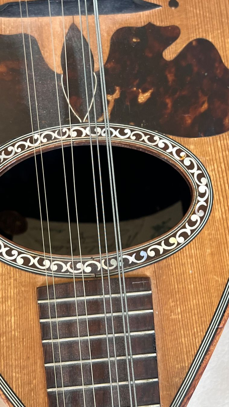 Strumenti musicali: Mandoline Raffaele Calace 1925 – Usato da Luzern venduto da TENDIMO 2