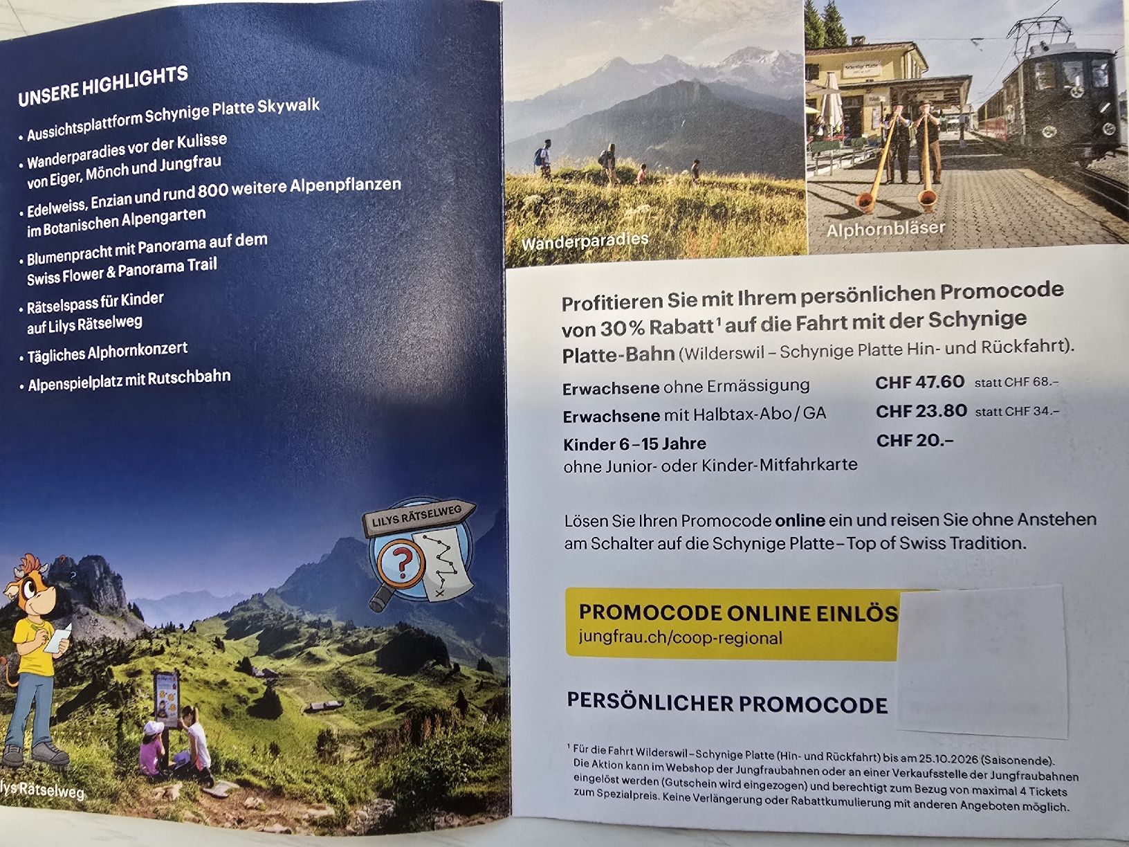 Bons: Ausflug Schynige Platte 30% Rabatt & gratis Apero – Neuf (Voir description) à Matten b. Interl par dor_w77b 2