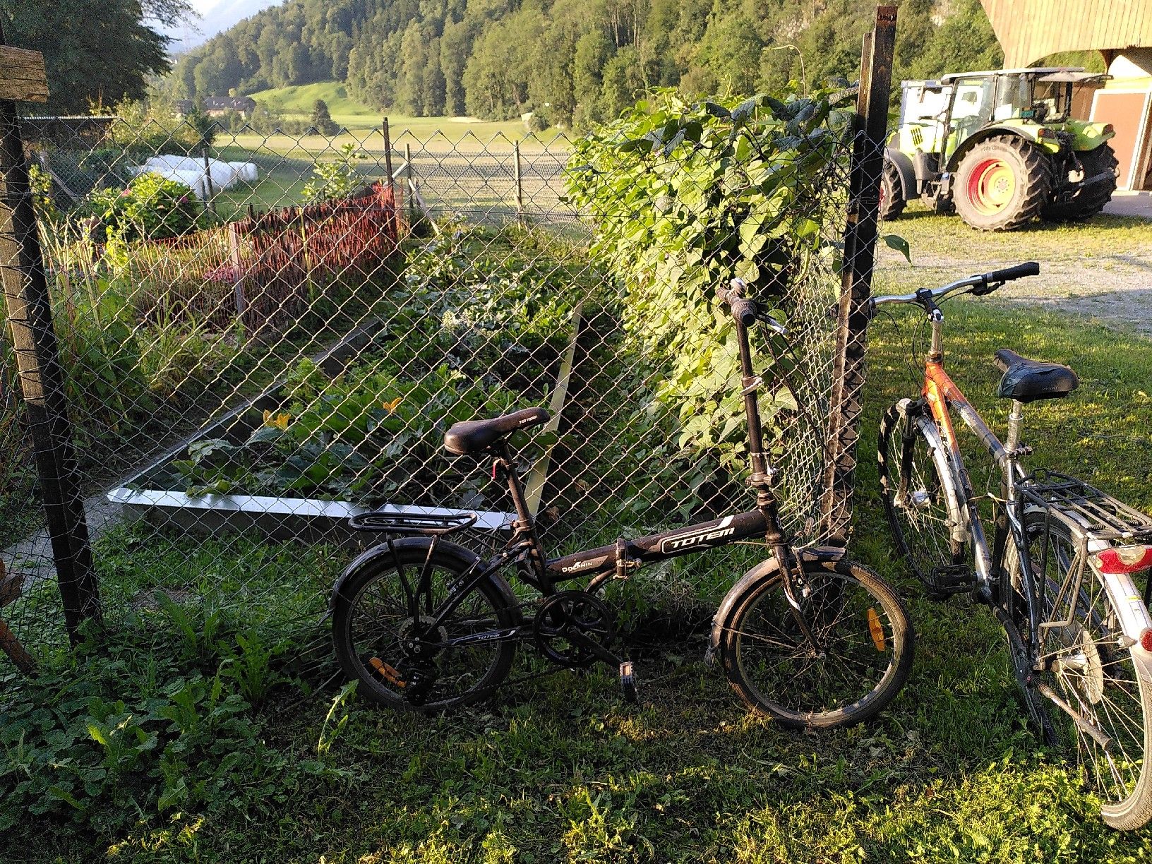 KTM Velos: Totem klapp KTM City, Velo's – Gebraucht aus Attinghausen von the_r2m8 1