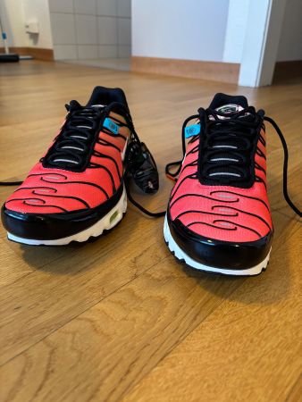 Nike Air Max Plus Worldwide