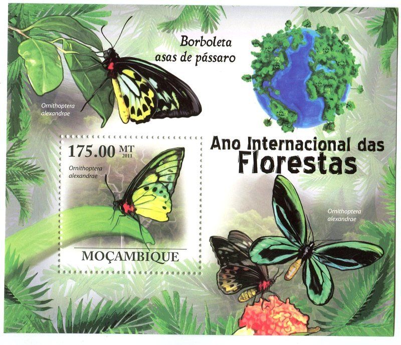 Tous les timbres: Block "Schmetterlinge". Mosambik. – Neuf avec emballage d'origine à Basel par Butsch5