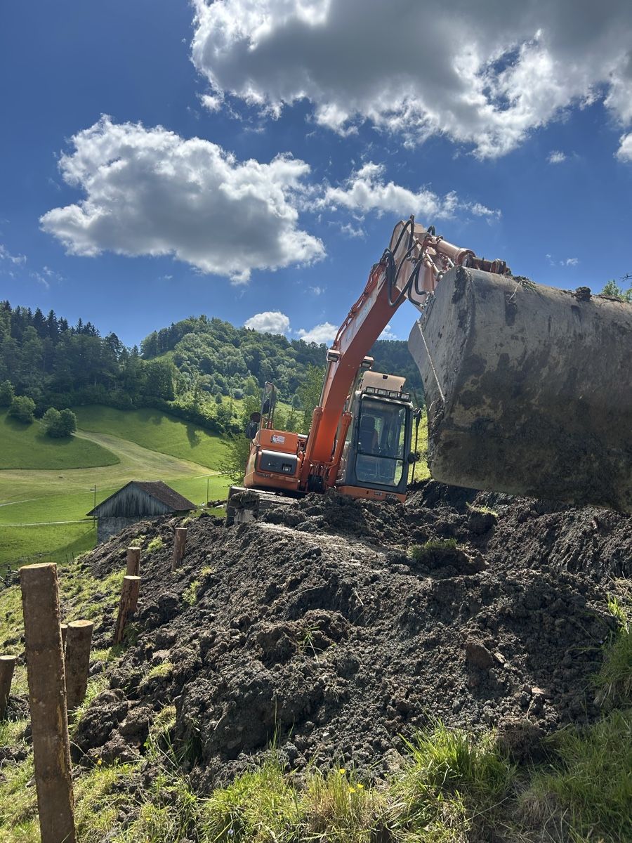 Doosan Escavatori: Bagger Doosan dx 140 – Usato da Lausen venduto da sil_5stv 3