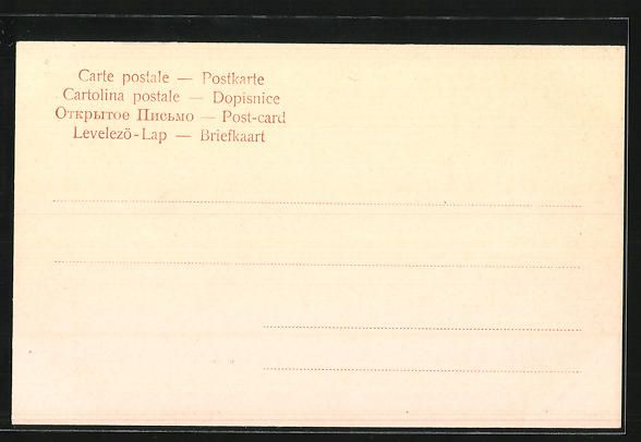 Cartoline postali: AK Gottlieben, Ansicht vom Schloss – Usato da Berlin venduto da bartko-reher 1