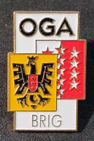 GG210 - Pin OGA Brig Wallis Valais