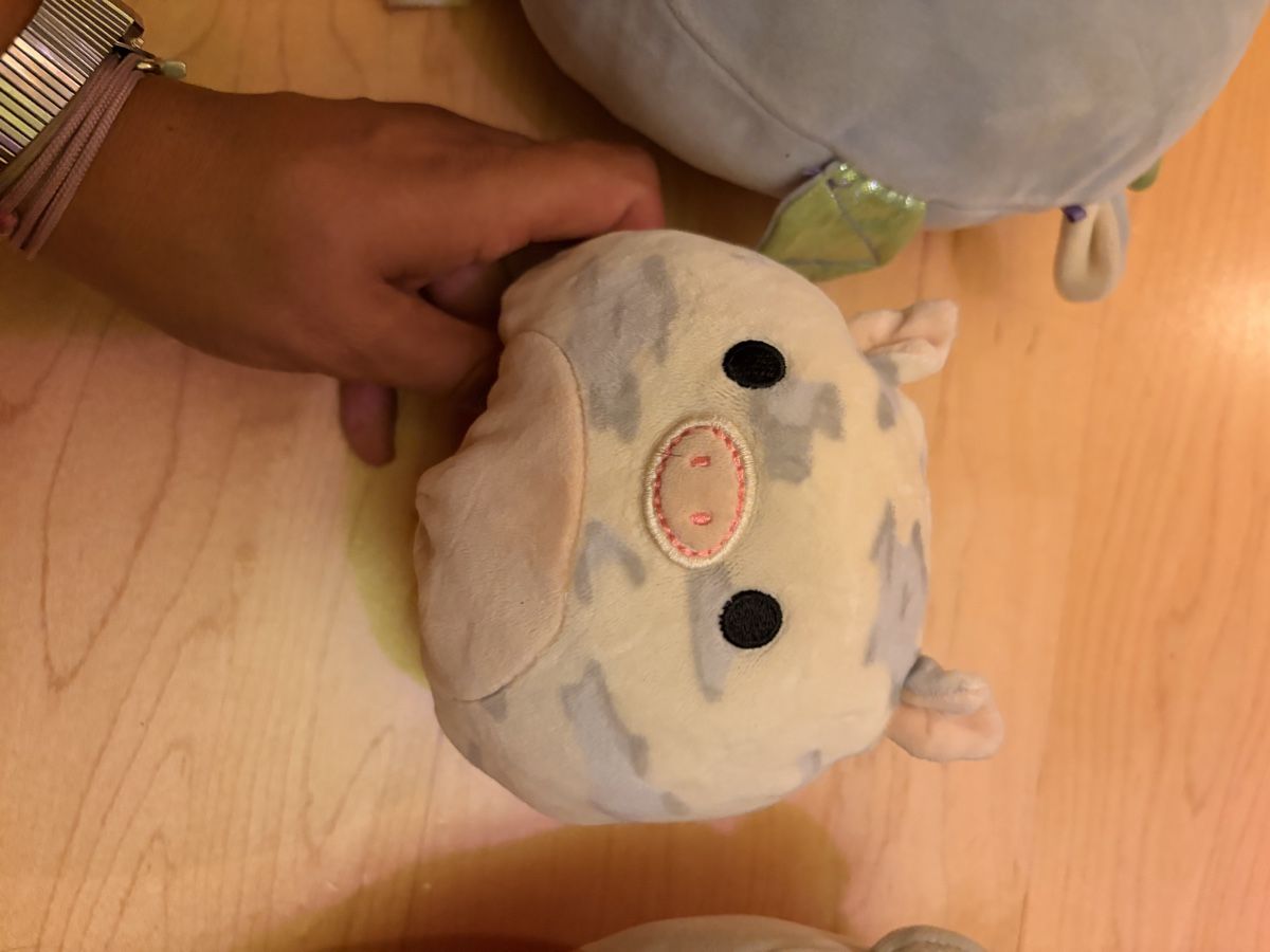 Squishmallows Jouets: Lot de 3 Squishmallows  – D'occasion à Lavigny par Lea_9rxv 2
