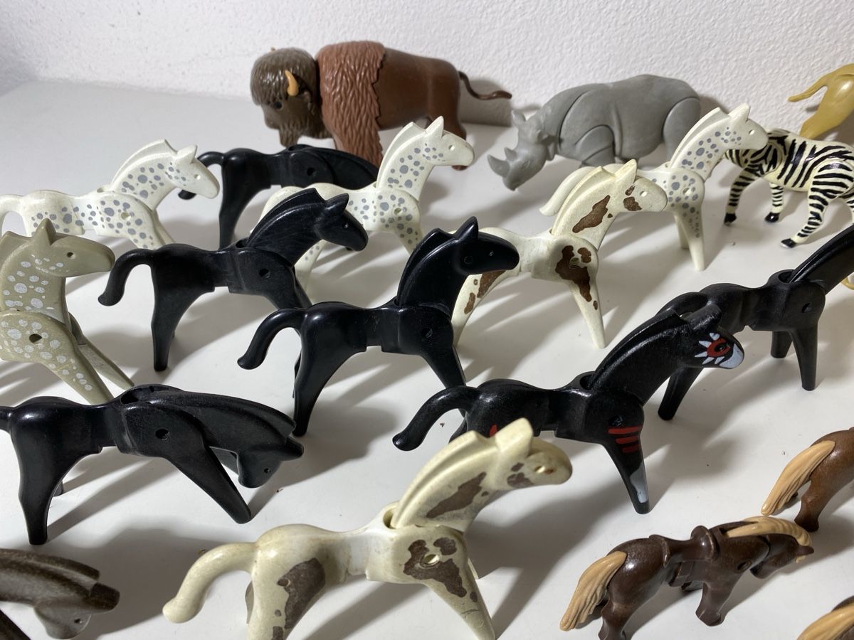 Playmobil Giocattoli: Playmobil Tiere – Usato da Winterthur venduto da ben_9vxx 6