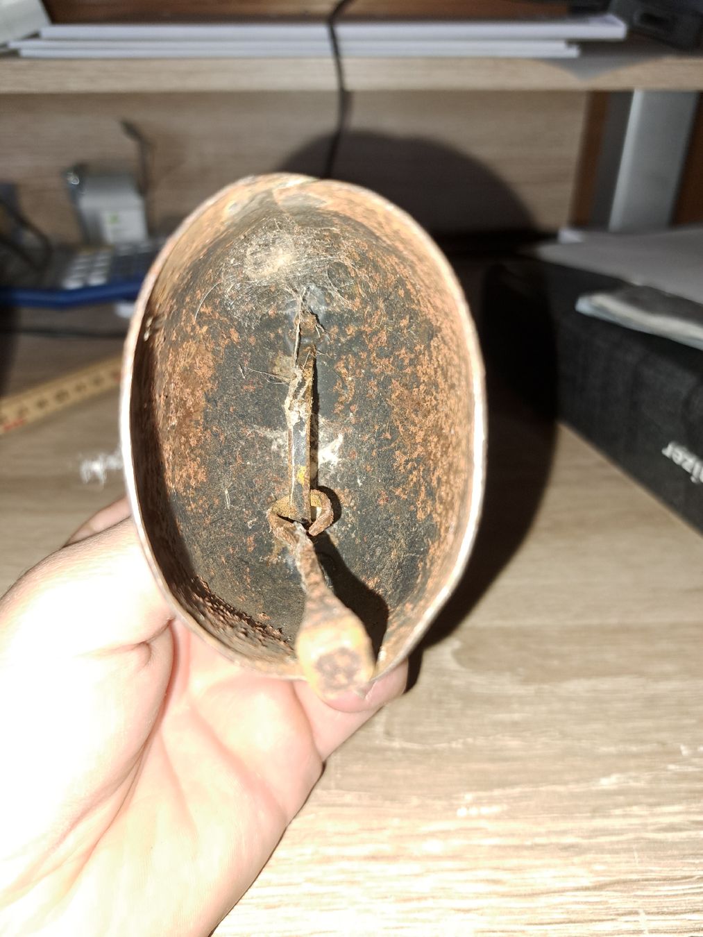 Campanacci mucche: Zigenschelle – Usato da Egg (Flawil) venduto da Tuli_pan72 2