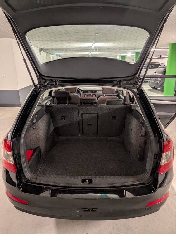 Skoda Automobili: SKODA Octavia Combi 1.6d 4x4 * Frisch ab MFK * – Usato da Vaduz venduto da TRANS-AGRAR 4