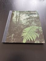 "Borneo - Die grüne Hölle für die Seele"