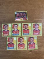 Panini Spanien 9 Stk.