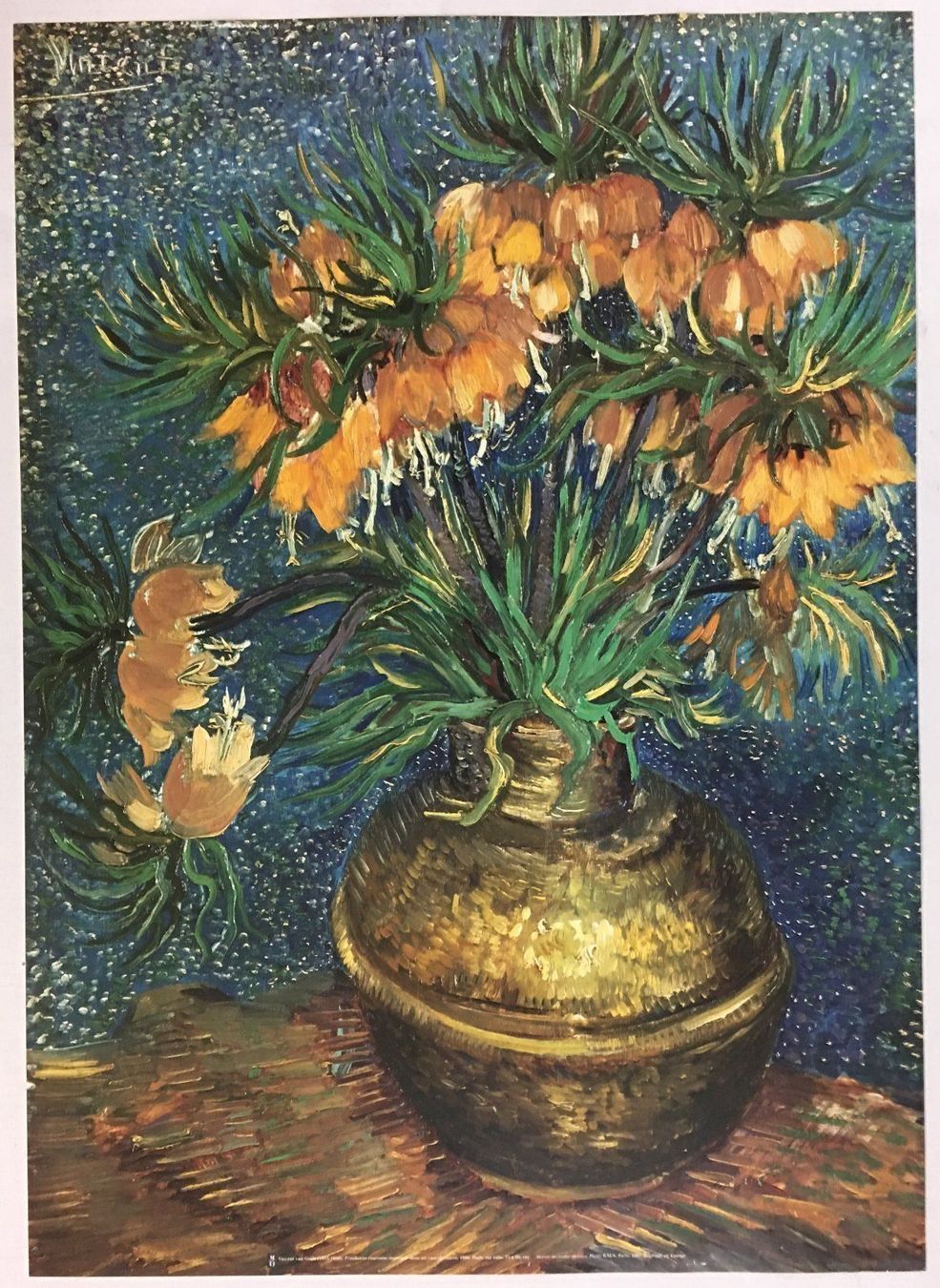 Foto & Immagini: 1997-Kunstdruck V. van Gogh / 70 x 50cm – Usato da Oftringen venduto da Vucki