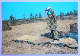 Senegal, Scène de vie