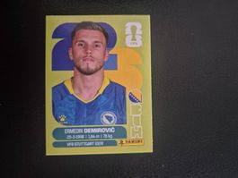Panini WM 26 BIH 17