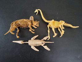 3 mini Dinosaurier Skelette