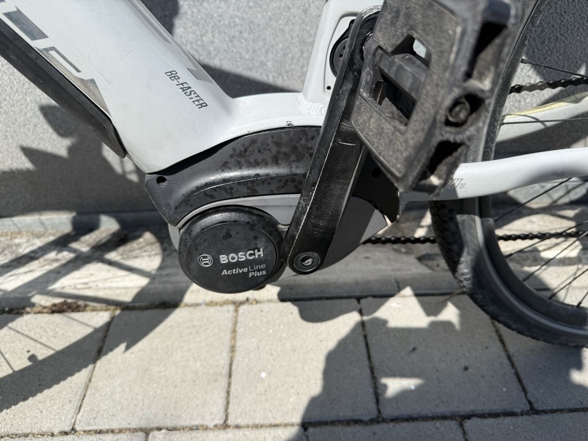 Bosch Biciclette: EXR E-Bike mit Bosch Active Line Plus Motor  – Usato da Oberentfelden venduto da speed_71 2