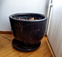 Topf mit Unterteller dunkelgrün