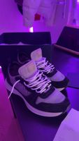 B25 Dior size 45