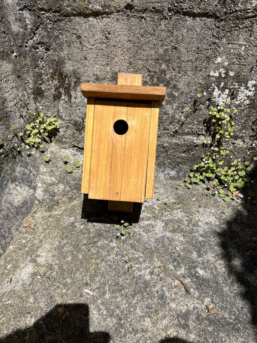 Casette per uccelli: Vogelnistkasten – Nuovo (secondo la descrizione) da Moosleerau venduto da Tami8 2