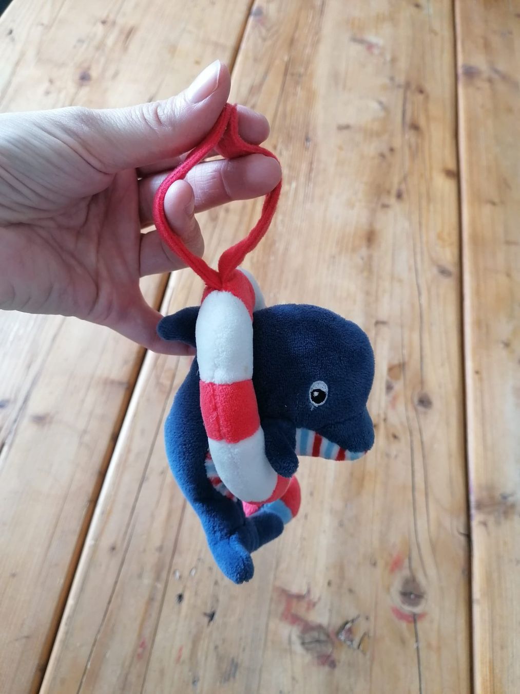 Rimorchi: Kinderwagenanhänger "Delfin" – Usato da Zürich venduto da ram_59n8 2