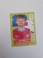 Panini Sticker CZE14
