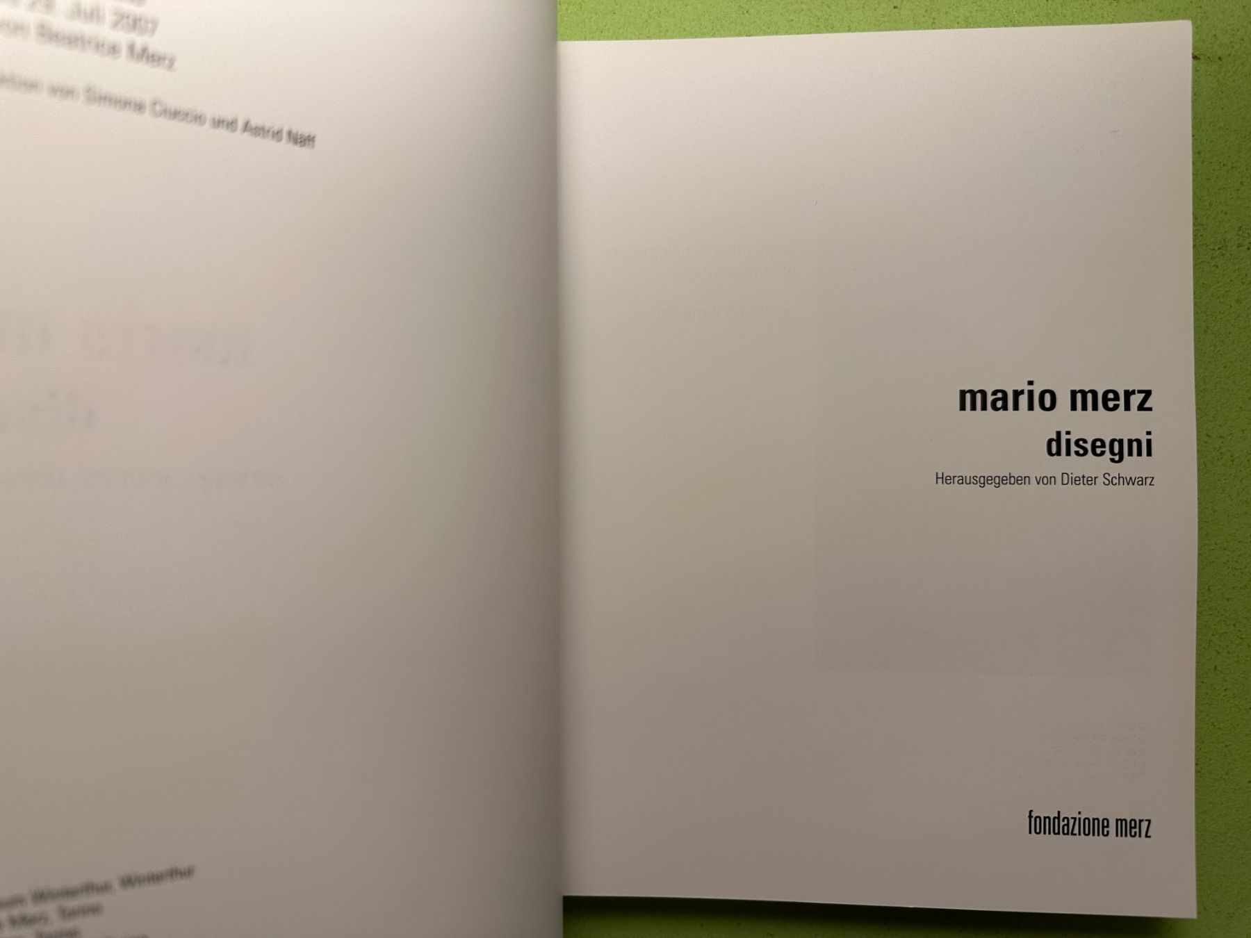Libri: Mario Merz: disegni – Usato da Zürich venduto da allp 1