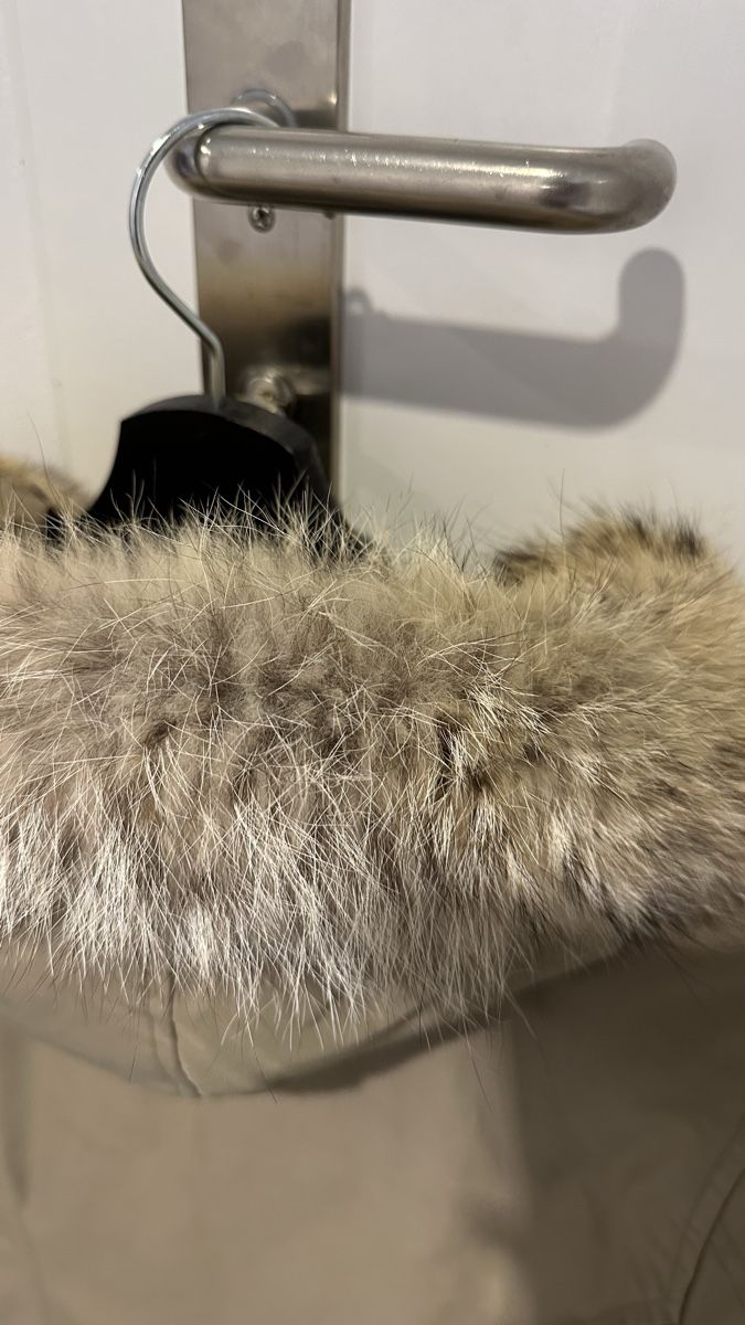 Woolrich Jacken: Woolrich Parka Damen beige, Grösse M – Gebraucht aus Winterthur von JVSMIN 2