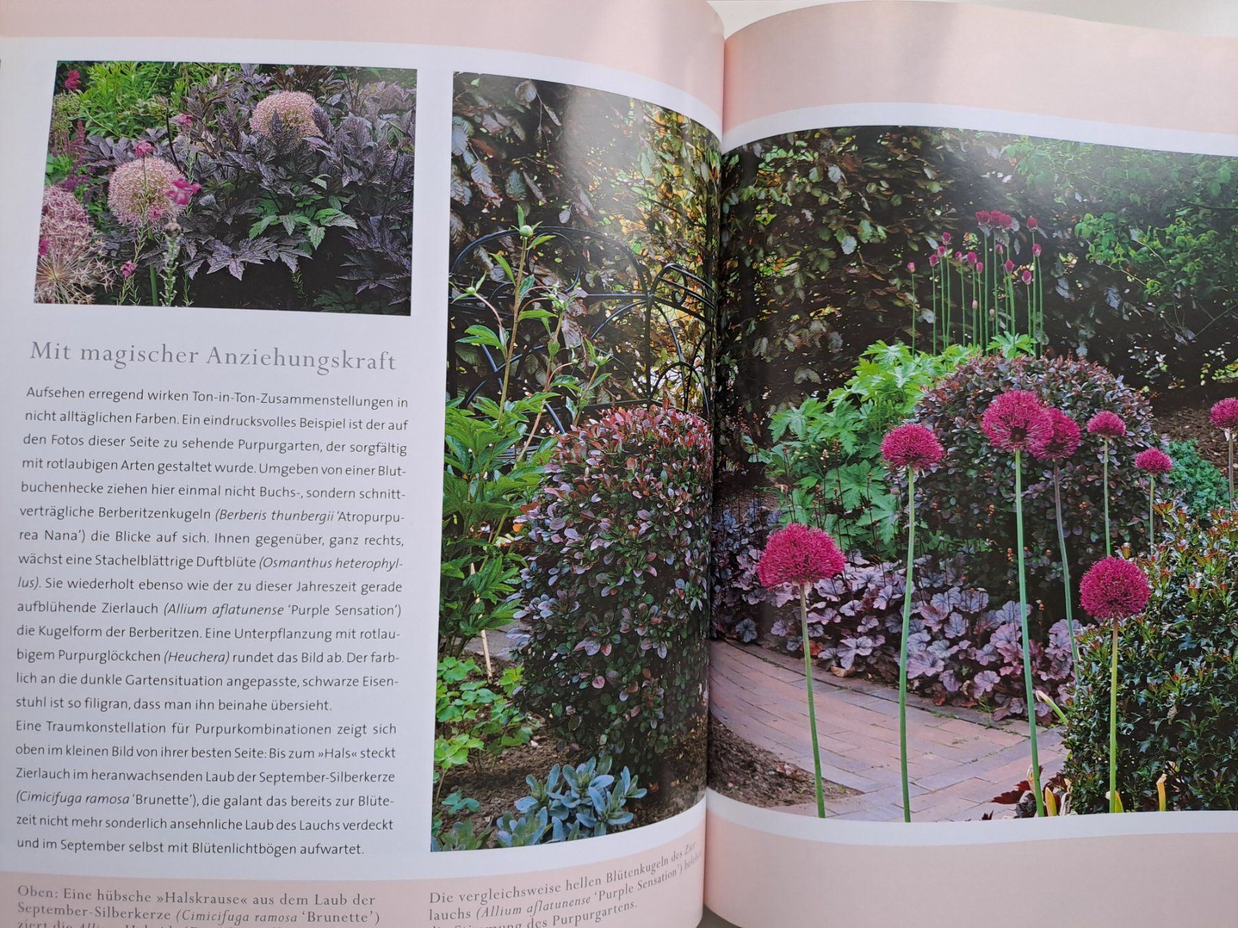 Libri: Bildband 'GartenBlicke' von Ursel Borstell – Usato da Volketswil venduto da ronbons 8