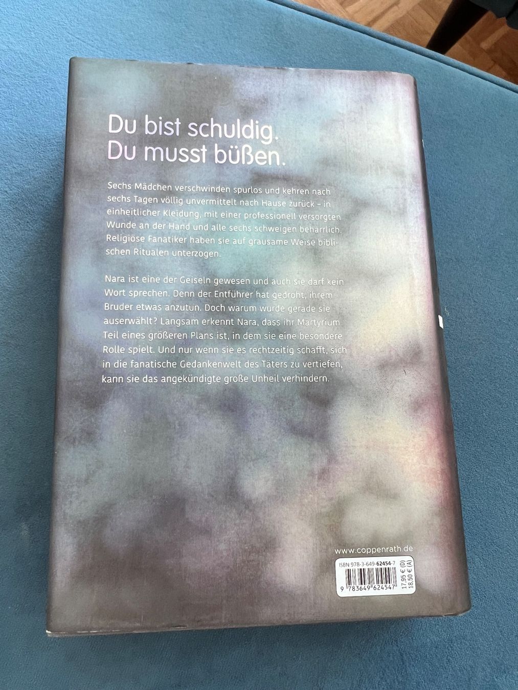 Bücher: Buch - fanatisch - roman – Neu (gemäss Beschreibung) aus Effretikon von YaMn 1