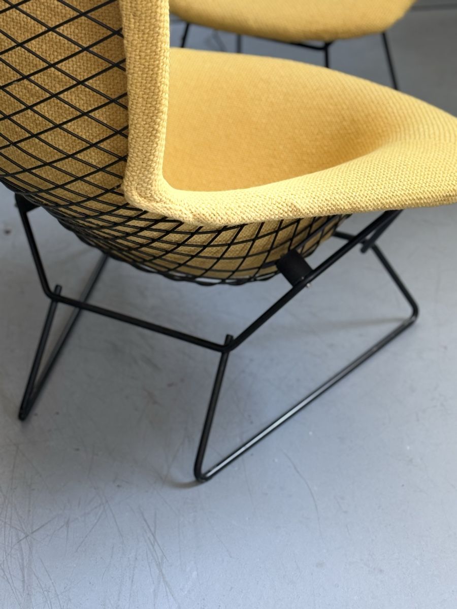 Poltrone: Design Sessel Knoll / Bertoria / Bird Chair – Usato da Zürich venduto da El-Ga 3