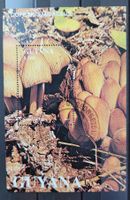 PILZE - GUYANA / CHAMPIGNONS - GUYANE– BLOCK / BLOC