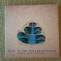 FURY IN THE SLAUGHTERHOUSE-THE HEARING AND THE SENSE(DIGIP)