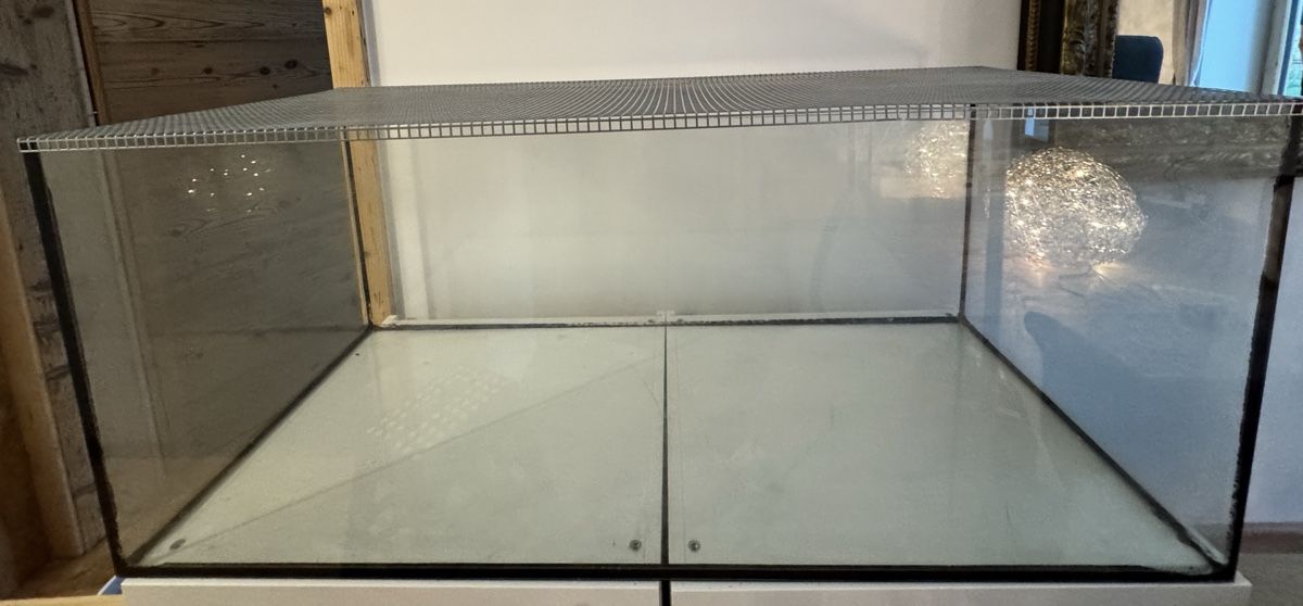 Cages, transport & sécurité: Glasterri mit Lochblechgitter 120 cm – D'occasion à Bever par Nivotrade 2
