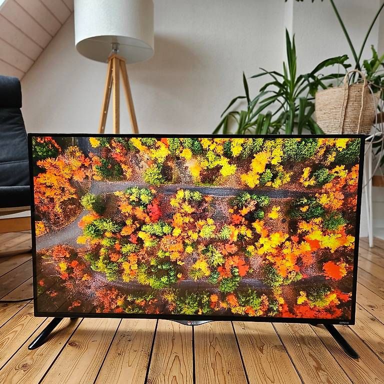 LG Televisori: LG 4K-TV  42 Zoll – Usato da Olten venduto da -Enzian-
