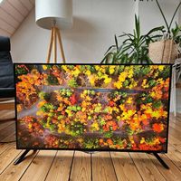 LG 4K-TV  42 Zoll