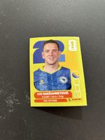 Panini BIH 8