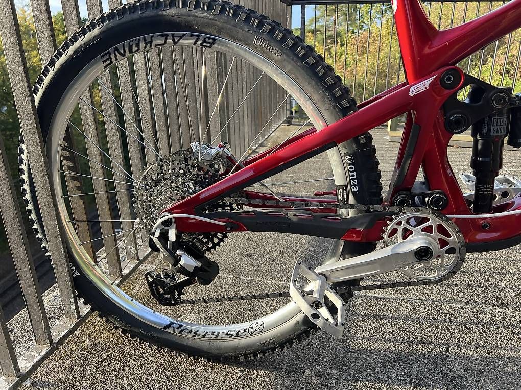 Biciclette: Pivot Firebird Custom L 29" – Usato da Basel venduto da N1KK0 1
