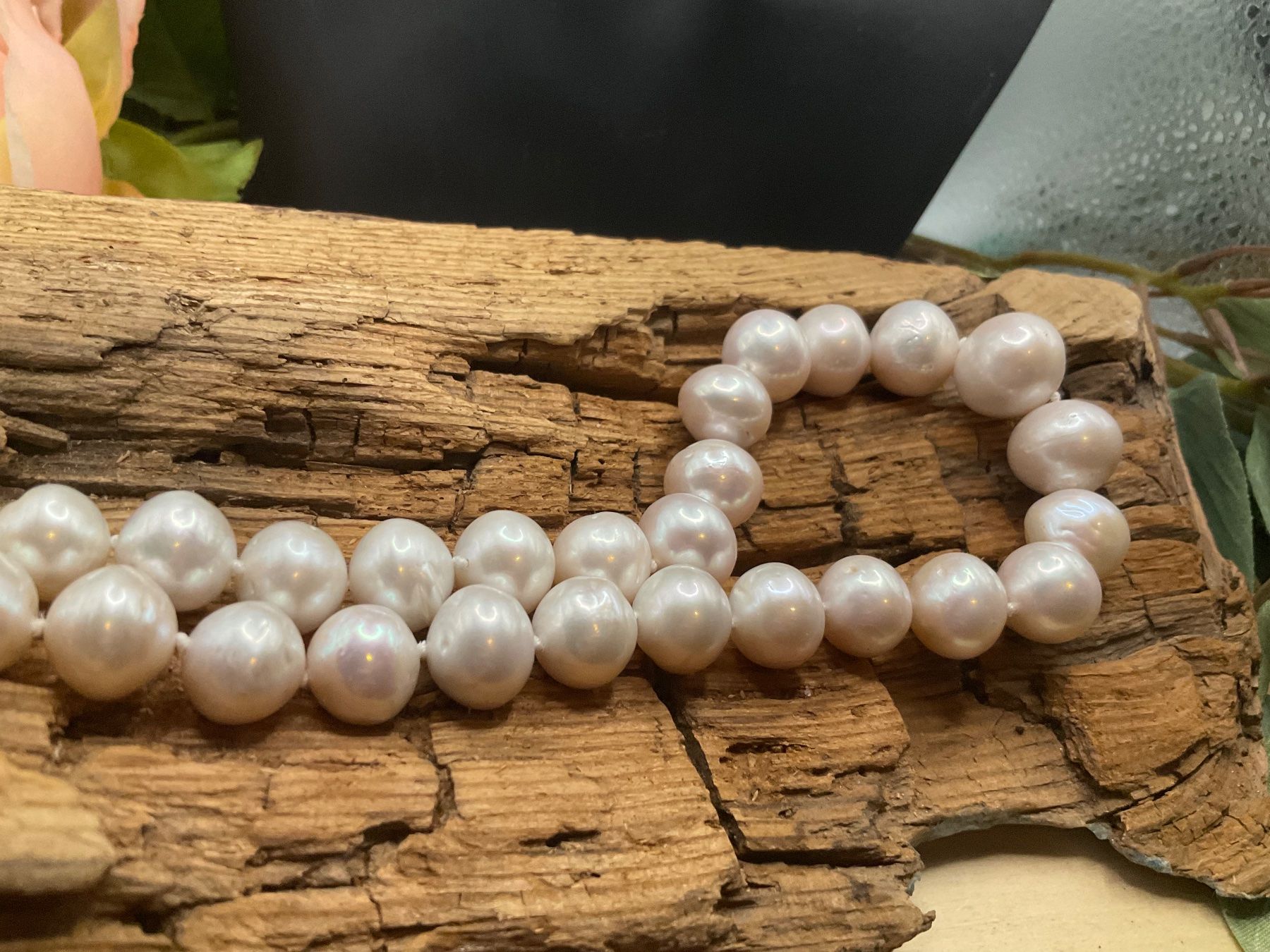 Catenine: Collier mit sehr grossen echten Perlen – Nuovo (secondo la descrizione) da luzern venduto da Alpendorf1 2
