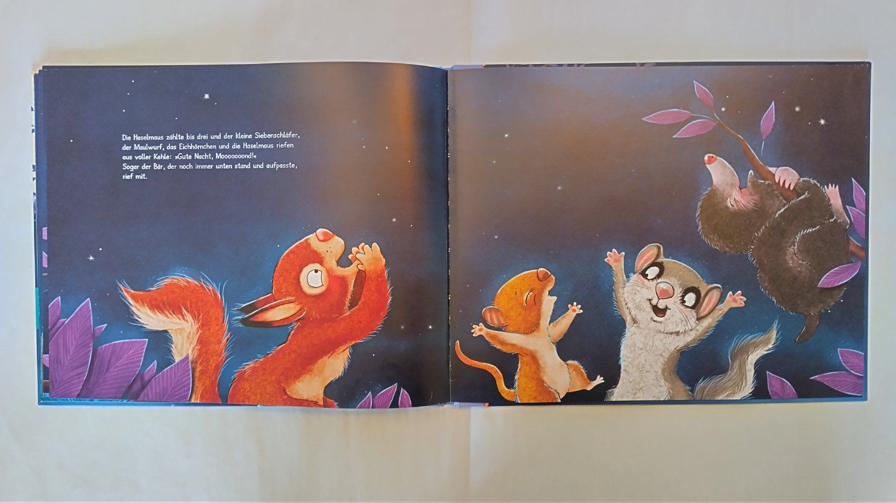 Libri: Die Geschichte vom kleinen Siebenschläfer der dem Mond.... – Usato da Bellach venduto da JingleJerry 7