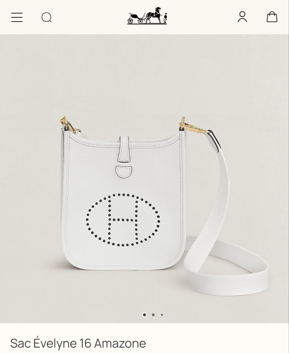 Hermès Borse da donna: Hermès Sac Évelyne 16 Amazone - Fullset – Nuovo (secondo la descrizione) da Kilchberg ZH venduto da happyymee 3