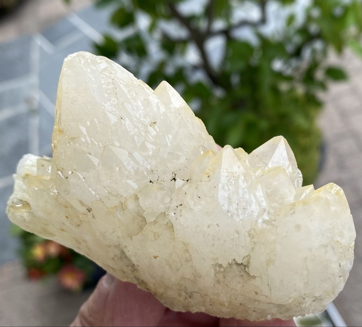 Mineralien & Heilsteine: Schöner Kaktusquarz – Gebraucht aus Selzach von 321compac 6