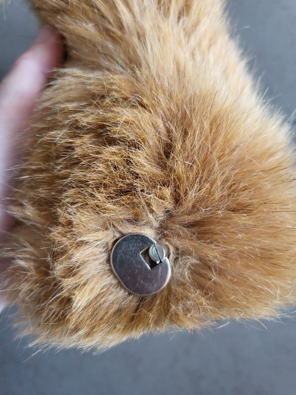 Steiff Spielzeuge: Steiff Eichhörnchen – Neu (gemäss Beschreibung) aus Zürich von Orchidee 4