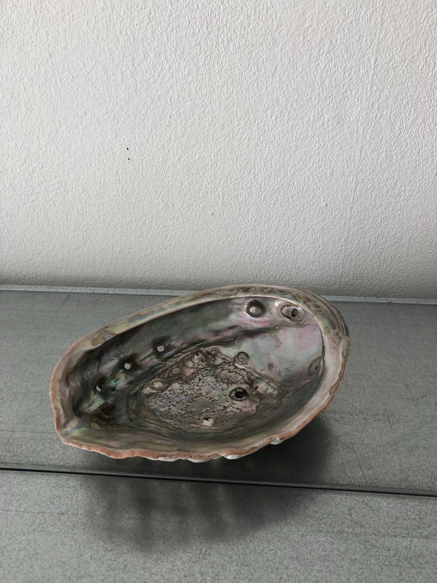 Minerali & Pietre curative: Schöne große Abalone-Muschel – Usato da Basel venduto da Amechan. 2