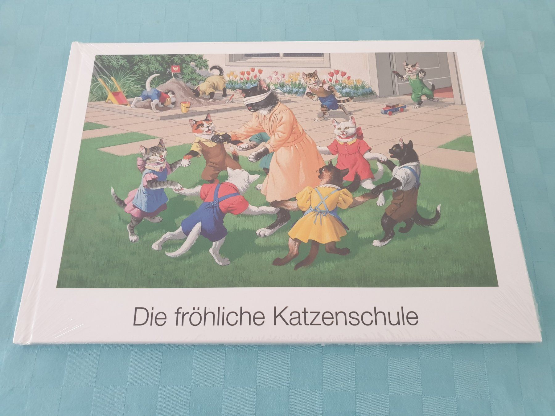 Libri: Katzenbuch Buch Katze – Nuovo (secondo la descrizione) da Mörschwil venduto da spirspi